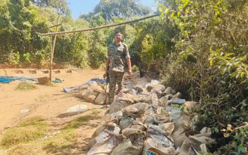 चक्रधरपुर के गुडासाई में अवैध शराब के खिलाफ बड़ी कार्रवाई, 2500 किलो जावा महुआ नष्ट
