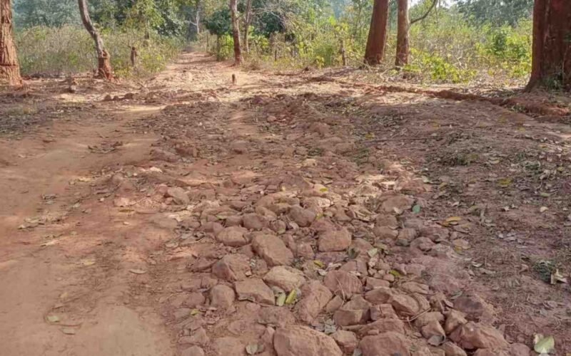 आजादी के 77 साल बाद भी सड़क से वंचित है बलिबा गांव, विकास से कोसों दूर जनता