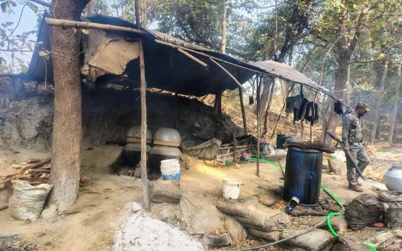 राजनगर के पाटाकोचा में अवैध महुआ शराब अड्डे पर छापेमारी, 50 लीटर शराब जब्त, 600 किलो जावा महुआ नष्ट