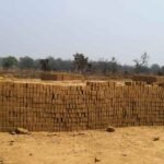 पर्यावरण बचाने के दावे धुएँ में: पेड़ काटकर चल रहे अवैध ईंट भट्टे, जिम्मेदार विभाग मौन – रामहरि पेरियार