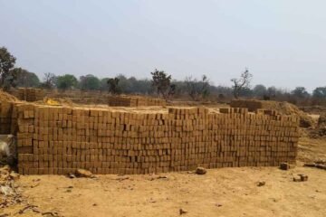 पर्यावरण बचाने के दावे धुएँ में: पेड़ काटकर चल रहे अवैध ईंट भट्टे, जिम्मेदार विभाग मौन – रामहरि पेरियार