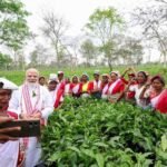 नरेन्द्र मोदी का डिब्रूगढ़ में चाय बागान की महिला श्रमिकों से संवाद, योगदान की सराहना और कल्याण का दिया भरोसा