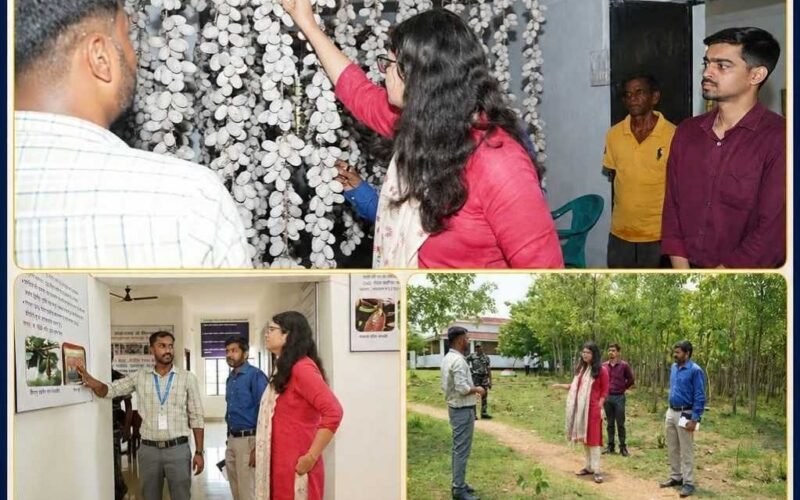 चक्रधरपुर में P-4 तसर प्रजनन केंद्र का निरीक्षण, एसडीओ ने किसानों तक लाभ पहुंचाने पर दिया जोर