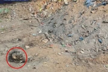 चक्रधरपुर: बर्टन लेक क्षेत्र में खुदाई के दौरान अज्ञात महिला का कंकाल मिलने से सनसनी