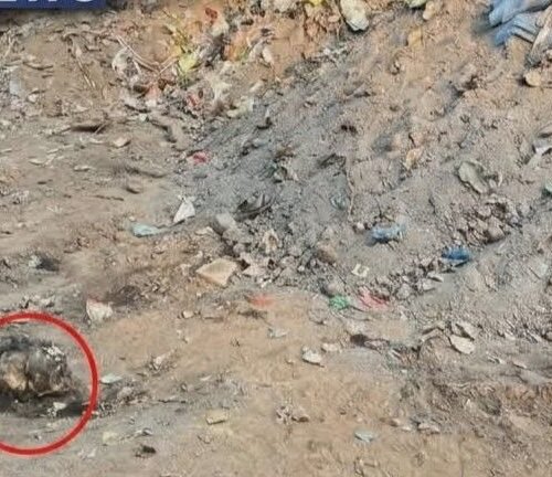 चक्रधरपुर: बर्टन लेक क्षेत्र में खुदाई के दौरान अज्ञात महिला का कंकाल मिलने से सनसनी