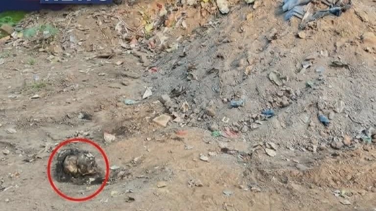 चक्रधरपुर: बर्टन लेक क्षेत्र में खुदाई के दौरान अज्ञात महिला का कंकाल मिलने से सनसनी