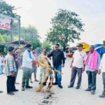 नीट-2026 प्रश्नपत्र लीक मामले पर एनएसयूआई का प्रदर्शन, शिक्षा मंत्री का पुतला दहन कर जताया विरोध