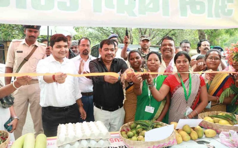 मंझगांव में विकास योजनाओं का निरीक्षण, वॉटर ट्रीटमेंट प्लांट का लिया जायजा, आम बिक्री केंद्र का उद्घाटन